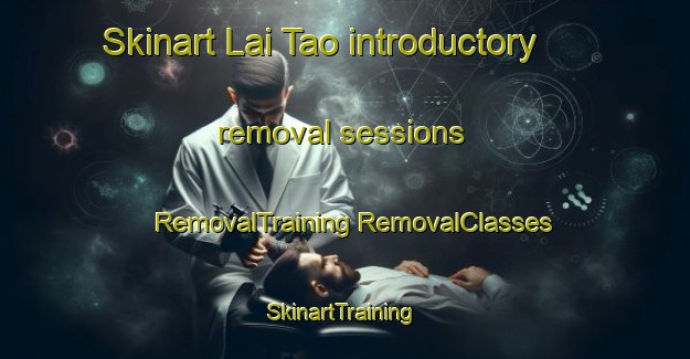 Skinart Lai Tao introductory removal sessions | #RemovalTraining #RemovalClasses #SkinartTraining-Vietnam