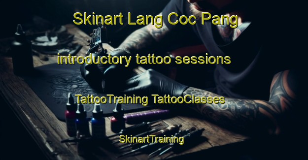 Skinart Lang Coc Pang introductory tattoo sessions | #TattooTraining #TattooClasses #SkinartTraining-Vietnam