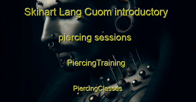 Skinart Lang Cuom introductory piercing sessions | #PiercingTraining #PiercingClasses #SkinartTraining-Vietnam