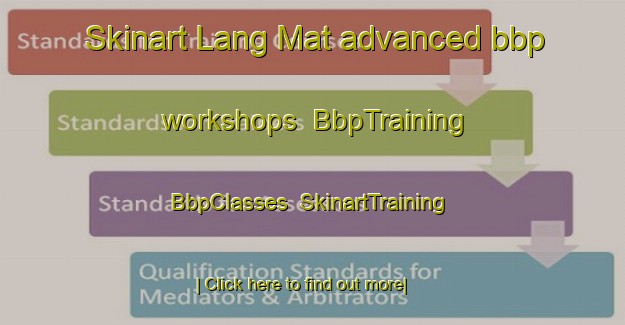 Skinart Lang Mat advanced bbp workshops | BbpTraining | BbpClasses | SkinartTraining-Vietnam