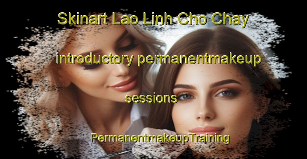 Skinart Lao Linh Cho Chay introductory permanentmakeup sessions | #PermanentmakeupTraining #PermanentmakeupClasses #SkinartTraining-Vietnam