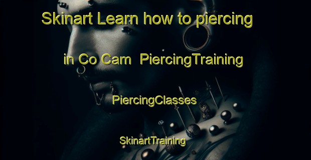 Skinart Learn how to piercing in Co Cam | #PiercingTraining #PiercingClasses #SkinartTraining-Vietnam