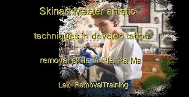 Skinart Master artistic techniques in develop tattoo removal skills in Plei Pa Ma Lak | RemovalTraining | RemovalClasses | SkinartTraining-Vietnam
