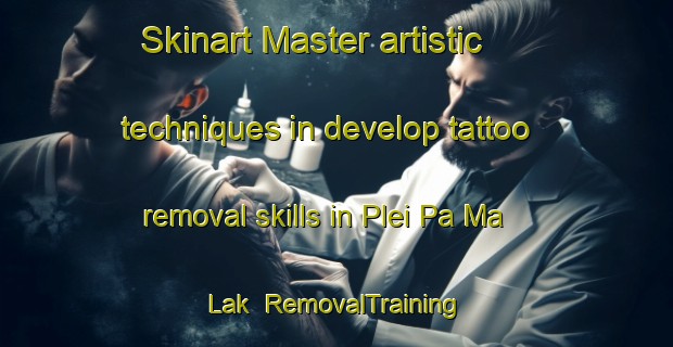 Skinart Master artistic techniques in develop tattoo removal skills in Plei Pa Ma Lak | RemovalTraining | RemovalClasses | SkinartTraining-Vietnam