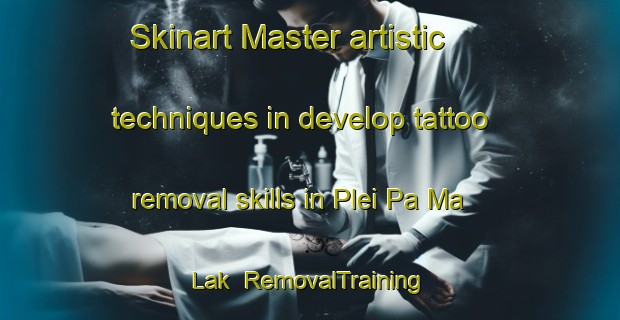 Skinart Master artistic techniques in develop tattoo removal skills in Plei Pa Ma Lak | RemovalTraining | RemovalClasses | SkinartTraining-Vietnam