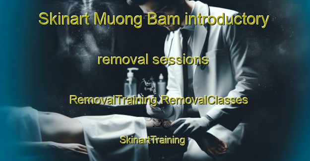 Skinart Muong Bam introductory removal sessions | #RemovalTraining #RemovalClasses #SkinartTraining-Vietnam