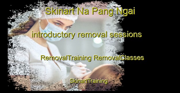 Skinart Na Pang Ngai introductory removal sessions | #RemovalTraining #RemovalClasses #SkinartTraining-Vietnam