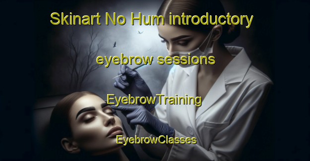 Skinart No Hum introductory eyebrow sessions | EyebrowTraining | EyebrowClasses | SkinartTraining-Vietnam