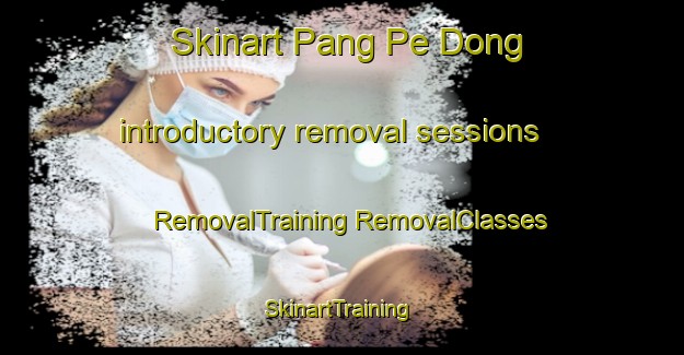 Skinart Pang Pe Dong introductory removal sessions | #RemovalTraining #RemovalClasses #SkinartTraining-Vietnam