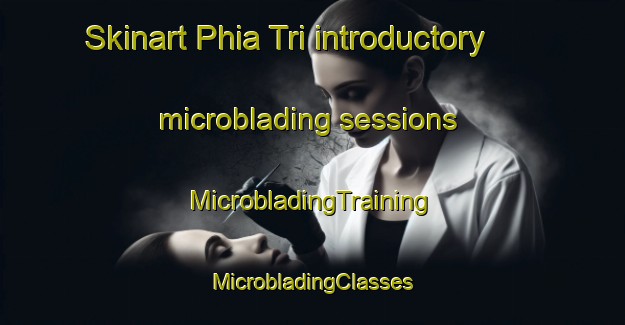 Skinart Phia Tri introductory microblading sessions | #MicrobladingTraining #MicrobladingClasses #SkinartTraining-Vietnam