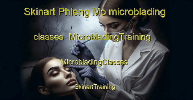 Skinart Phieng Mo microblading classes | MicrobladingTraining | MicrobladingClasses | SkinartTraining-Vietnam