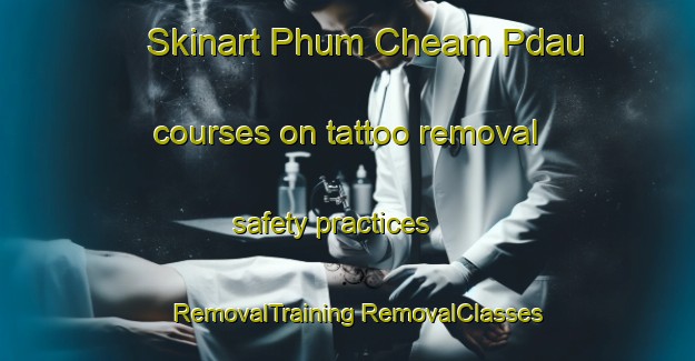 Skinart Phum Cheam Pdau courses on tattoo removal safety practices | #RemovalTraining #RemovalClasses #SkinartTraining-Vietnam