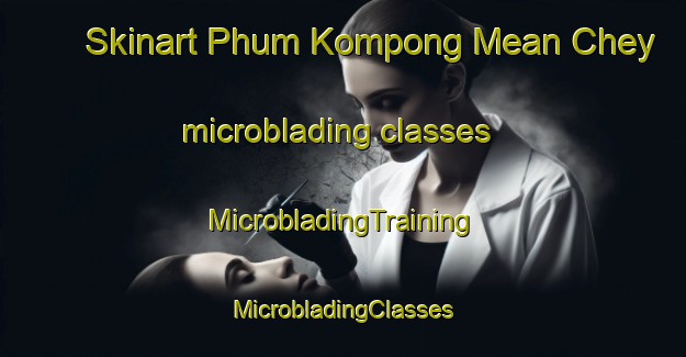 Skinart Phum Kompong Mean Chey microblading classes | #MicrobladingTraining #MicrobladingClasses #SkinartTraining-Vietnam