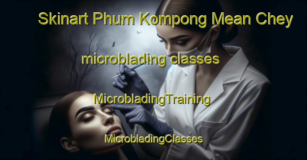 Skinart Phum Kompong Mean Chey microblading classes | #MicrobladingTraining #MicrobladingClasses #SkinartTraining-Vietnam