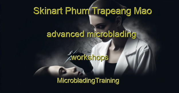 Skinart Phum Trapeang Mao advanced microblading workshops | #MicrobladingTraining #MicrobladingClasses #SkinartTraining-Vietnam