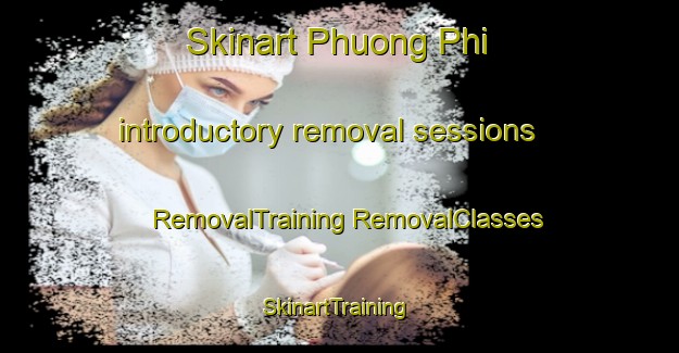 Skinart Phuong Phi introductory removal sessions | #RemovalTraining #RemovalClasses #SkinartTraining-Vietnam