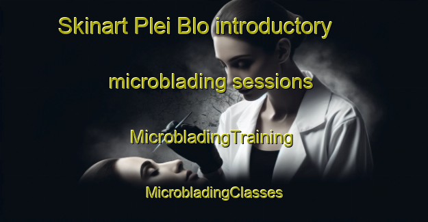 Skinart Plei Blo introductory microblading sessions | #MicrobladingTraining #MicrobladingClasses #SkinartTraining-Vietnam