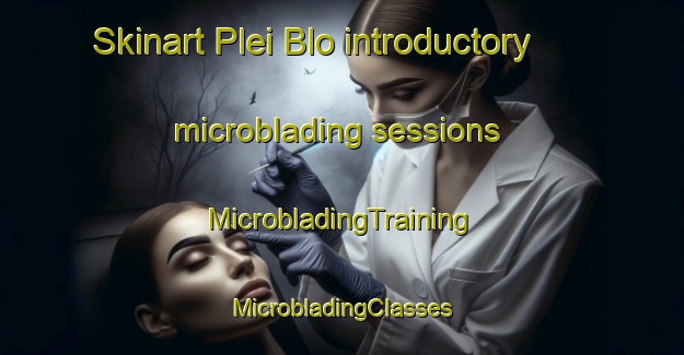 Skinart Plei Blo introductory microblading sessions | #MicrobladingTraining #MicrobladingClasses #SkinartTraining-Vietnam