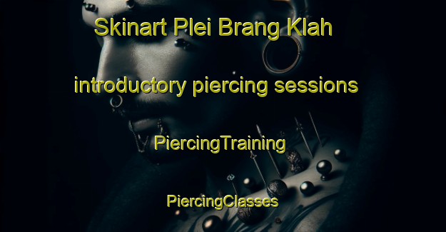 Skinart Plei Brang Klah introductory piercing sessions | #PiercingTraining #PiercingClasses #SkinartTraining-Vietnam