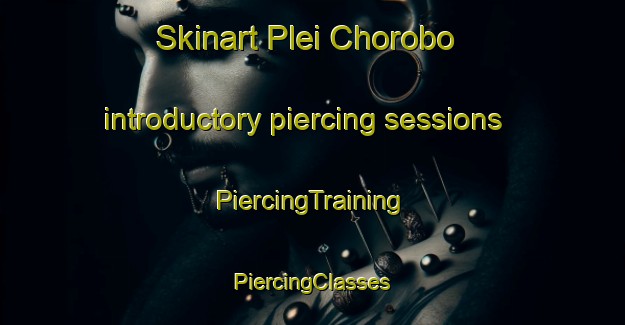 Skinart Plei Chorobo introductory piercing sessions | #PiercingTraining #PiercingClasses #SkinartTraining-Vietnam