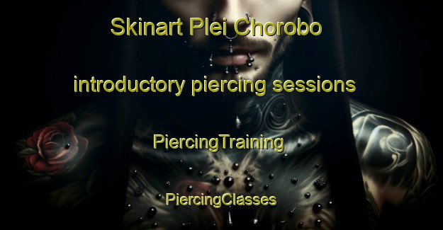 Skinart Plei Chorobo introductory piercing sessions | #PiercingTraining #PiercingClasses #SkinartTraining-Vietnam