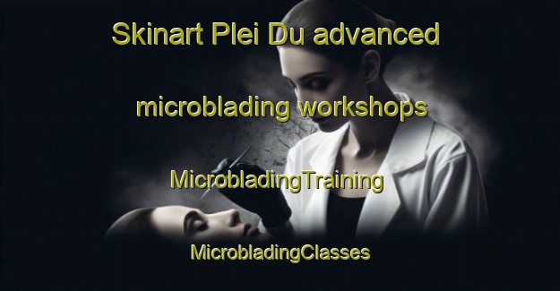 Skinart Plei Du advanced microblading workshops | #MicrobladingTraining #MicrobladingClasses #SkinartTraining-Vietnam