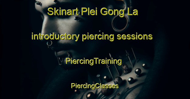 Skinart Plei Gong La introductory piercing sessions | #PiercingTraining #PiercingClasses #SkinartTraining-Vietnam