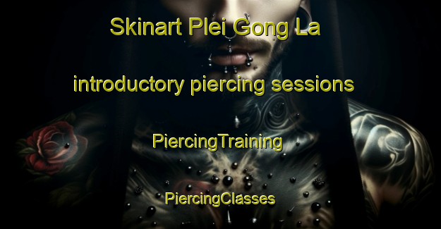 Skinart Plei Gong La introductory piercing sessions | #PiercingTraining #PiercingClasses #SkinartTraining-Vietnam