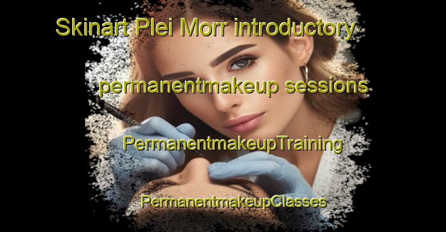 Skinart Plei Morr introductory permanentmakeup sessions | #PermanentmakeupTraining #PermanentmakeupClasses #SkinartTraining-Vietnam