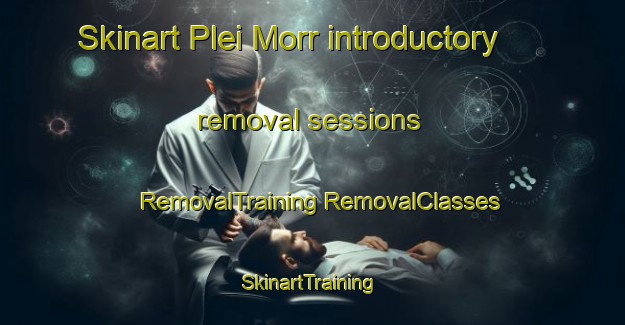 Skinart Plei Morr introductory removal sessions | #RemovalTraining #RemovalClasses #SkinartTraining-Vietnam