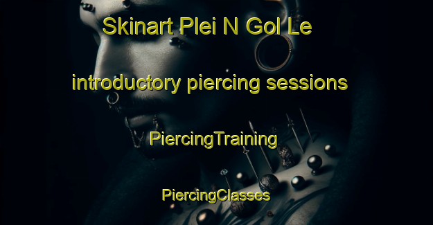 Skinart Plei N Gol Le introductory piercing sessions | #PiercingTraining #PiercingClasses #SkinartTraining-Vietnam