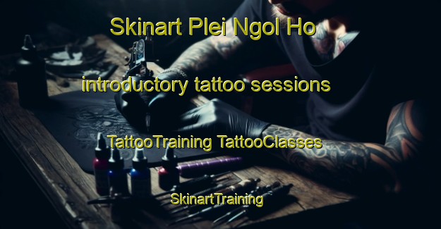 Skinart Plei Ngol Ho introductory tattoo sessions | #TattooTraining #TattooClasses #SkinartTraining-Vietnam