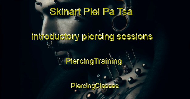 Skinart Plei Pa Tsa introductory piercing sessions | #PiercingTraining #PiercingClasses #SkinartTraining-Vietnam