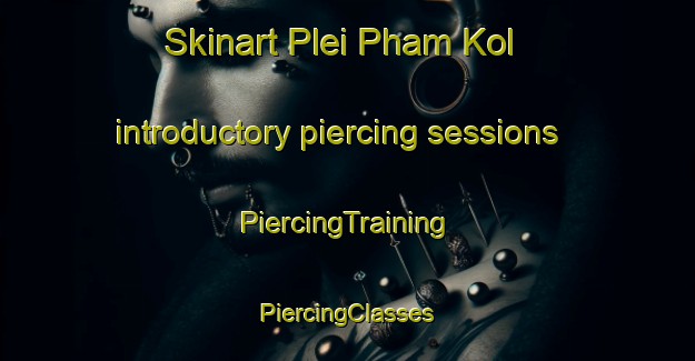 Skinart Plei Pham Kol introductory piercing sessions | #PiercingTraining #PiercingClasses #SkinartTraining-Vietnam