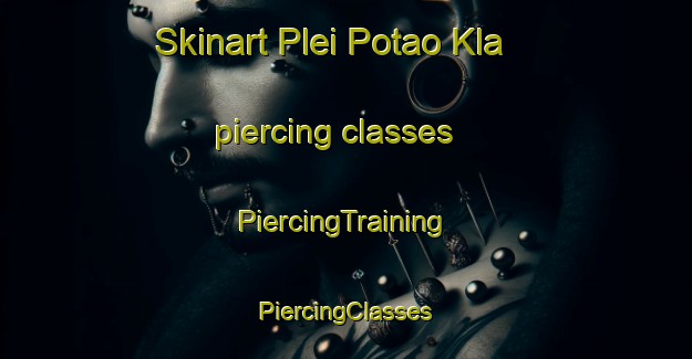 Skinart Plei Potao Kla piercing classes | #PiercingTraining #PiercingClasses #SkinartTraining-Vietnam