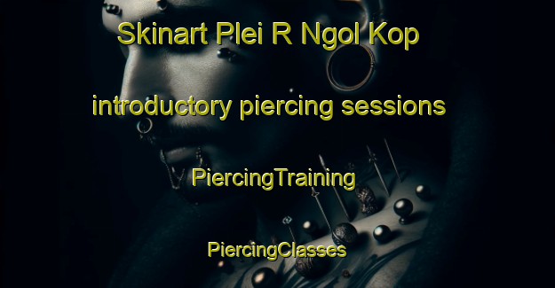 Skinart Plei R Ngol Kop introductory piercing sessions | #PiercingTraining #PiercingClasses #SkinartTraining-Vietnam