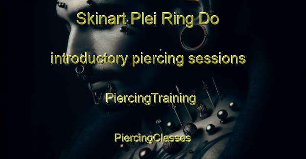 Skinart Plei Ring Do introductory piercing sessions | #PiercingTraining #PiercingClasses #SkinartTraining-Vietnam