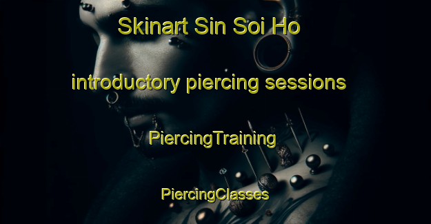 Skinart Sin Soi Ho introductory piercing sessions | #PiercingTraining #PiercingClasses #SkinartTraining-Vietnam