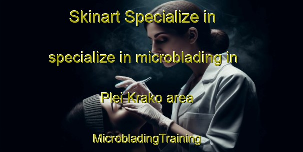Skinart Specialize in specialize in microblading in Plei Krako area | MicrobladingTraining | MicrobladingClasses | SkinartTraining-Vietnam