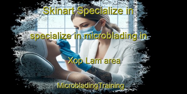 Skinart Specialize in specialize in microblading in Xop Lam area | MicrobladingTraining | MicrobladingClasses | SkinartTraining-Vietnam