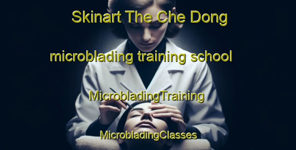 Skinart The Che Dong microblading training school | #MicrobladingTraining #MicrobladingClasses #SkinartTraining-Vietnam