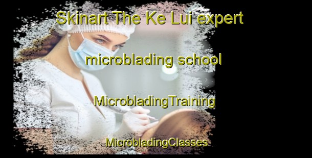 Skinart The Ke Lui expert microblading school | #MicrobladingTraining #MicrobladingClasses #SkinartTraining-Vietnam