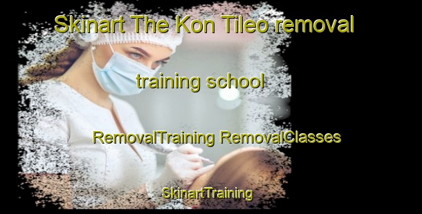 Skinart The Kon Tileo removal training school | #RemovalTraining #RemovalClasses #SkinartTraining-Vietnam