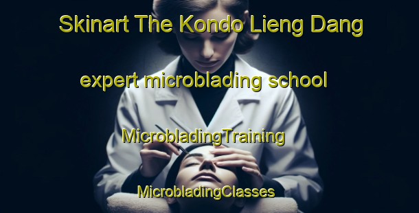Skinart The Kondo Lieng Dang expert microblading school | MicrobladingTraining | MicrobladingClasses | SkinartTraining-Vietnam