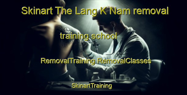 Skinart The Lang K Nam removal training school | #RemovalTraining #RemovalClasses #SkinartTraining-Vietnam