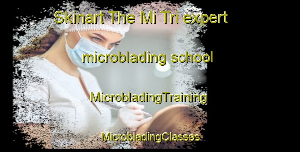 Skinart The Mi Tri expert microblading school | #MicrobladingTraining #MicrobladingClasses #SkinartTraining-Vietnam