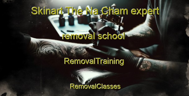 Skinart The Na Cham expert removal school | RemovalTraining | RemovalClasses | SkinartTraining-Vietnam
