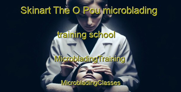 Skinart The O Pou microblading training school | #MicrobladingTraining #MicrobladingClasses #SkinartTraining-Vietnam