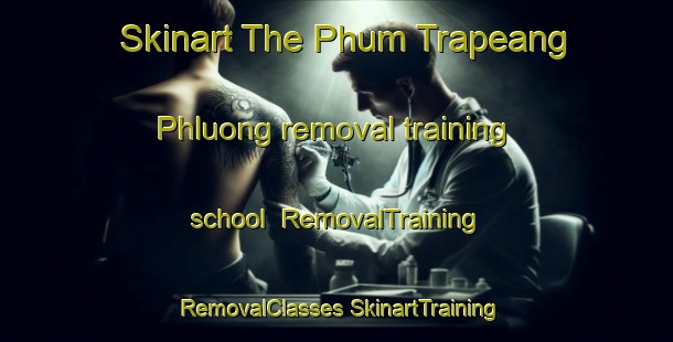 Skinart The Phum Trapeang Phluong removal training school | #RemovalTraining #RemovalClasses #SkinartTraining-Vietnam