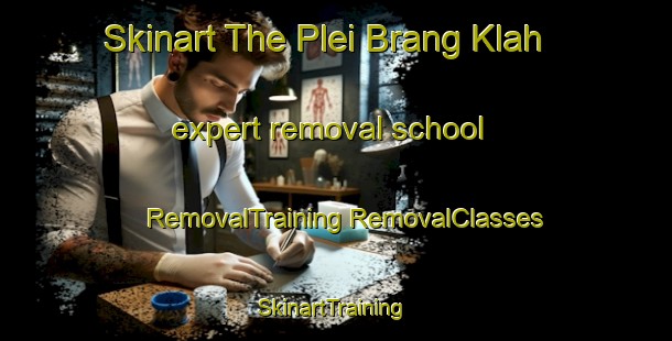 Skinart The Plei Brang Klah expert removal school | #RemovalTraining #RemovalClasses #SkinartTraining-Vietnam